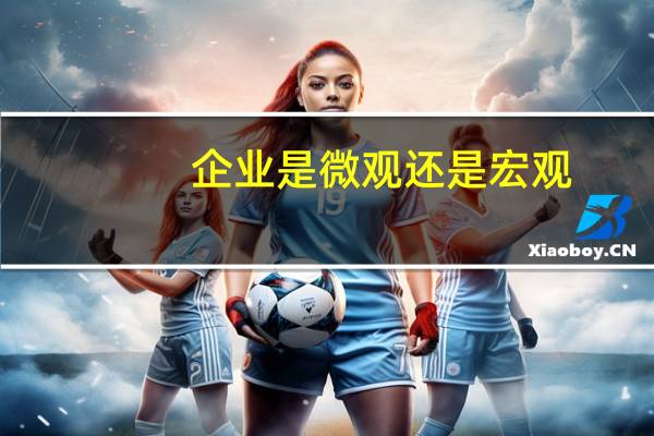 企业是微观还是宏观