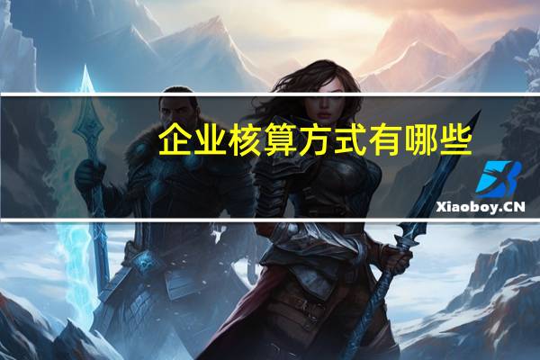 企业核算方式有哪些