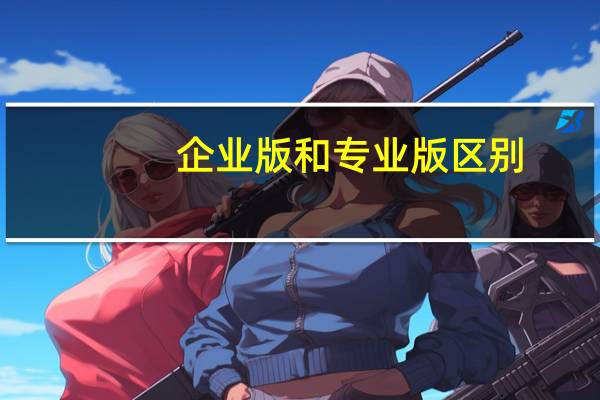企业版和专业版区别