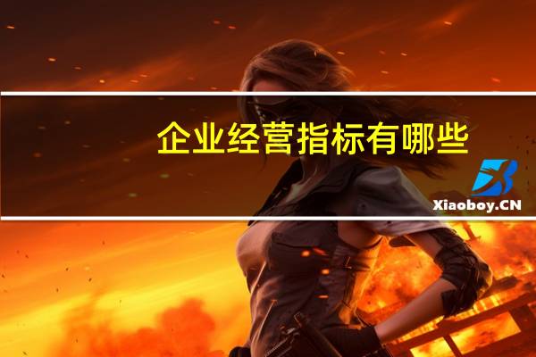 企业经营指标有哪些