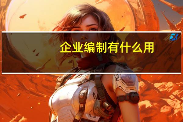 企业编制有什么用
