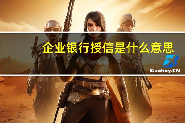 企业银行授信是什么意思