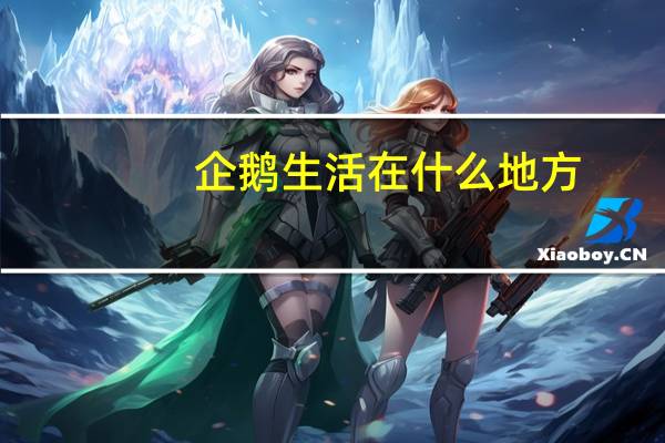 企鹅生活在什么地方