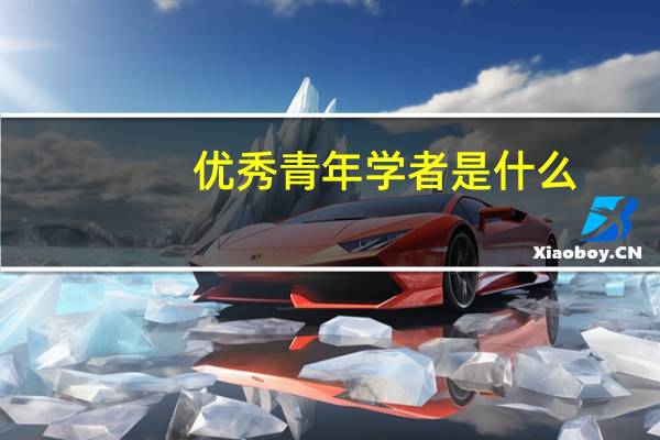 优秀青年学者是什么