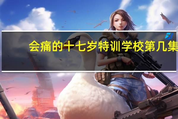 会痛的十七岁特训学校第几集
