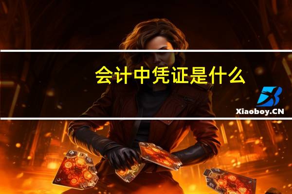 会计中凭证是什么