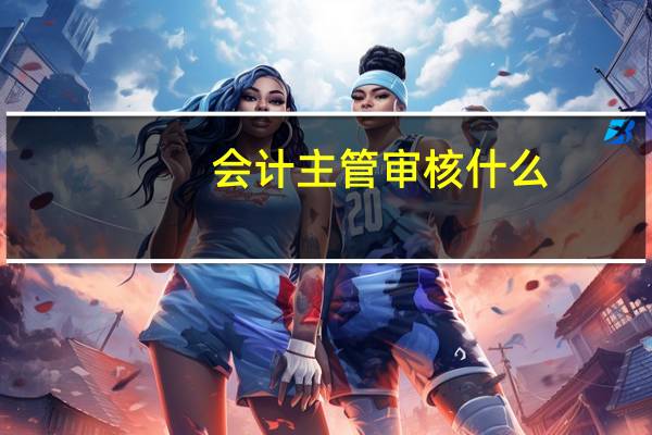 会计主管 审核什么