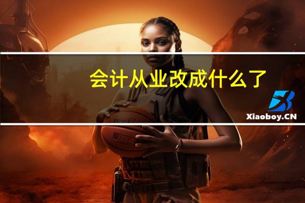 会计从业改成什么了