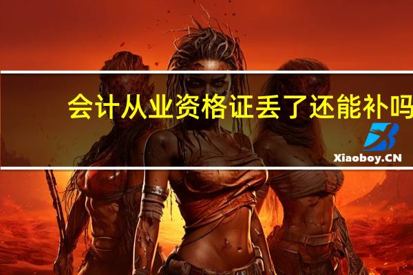 会计从业资格证丢了还能补吗