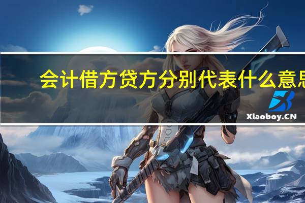 会计借方贷方分别代表什么意思