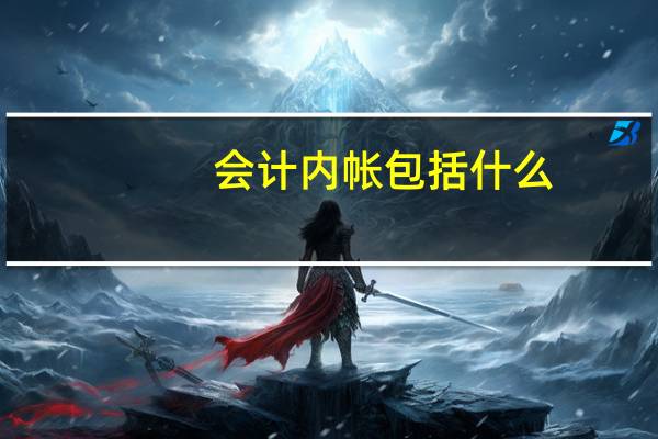 会计内帐包括什么