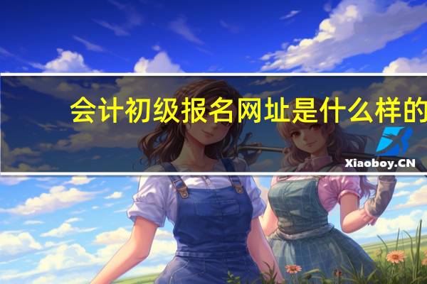 会计初级报名网址是什么样的