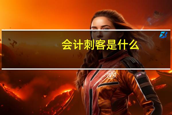 会计刺客是什么