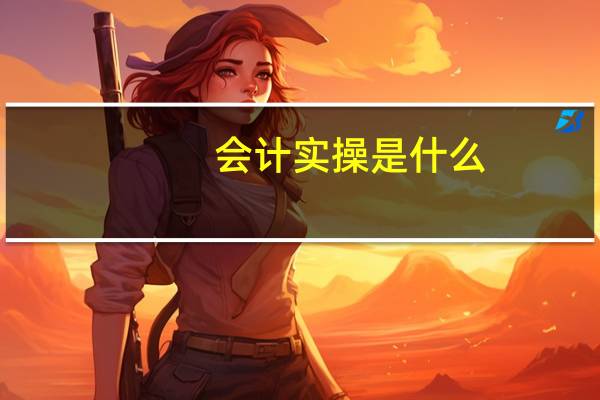 会计实操是什么