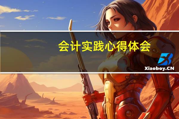 会计实践心得体会