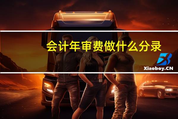 会计年审费做什么分录