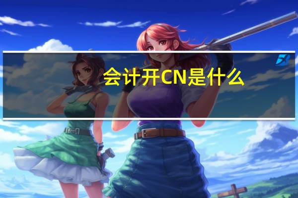 会计开CN是什么