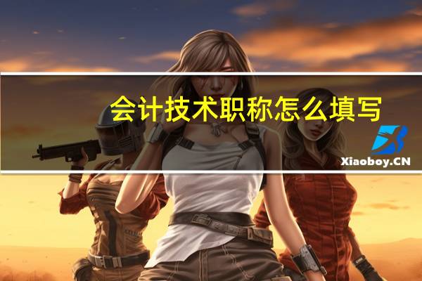 会计技术职称怎么填写
