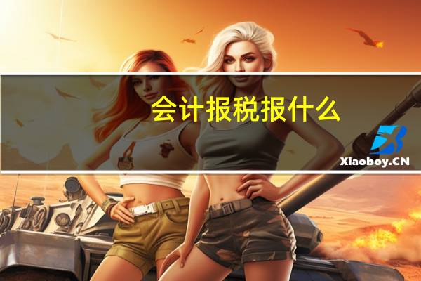 会计报税报什么