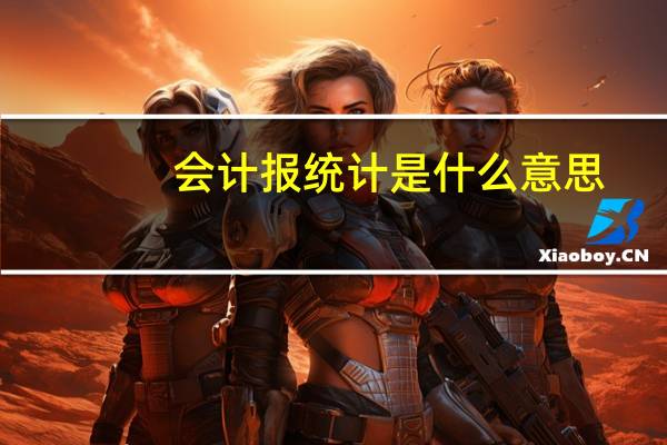 会计报统计是什么意思