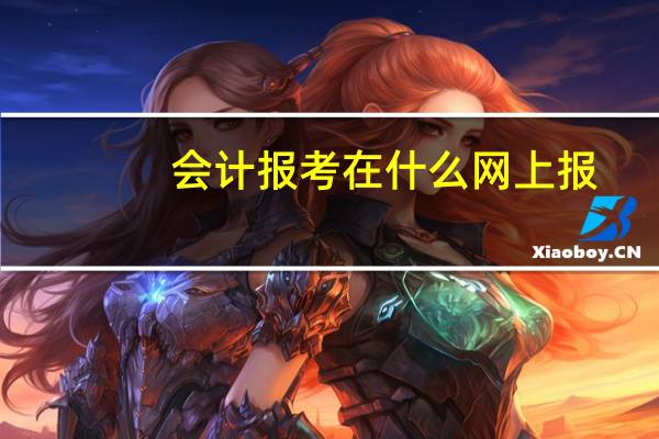 会计报考在什么网上报