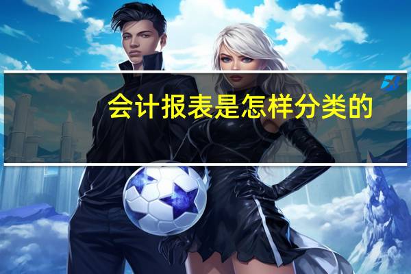 会计报表是怎样分类的