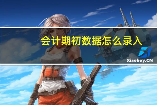 会计期初数据怎么录入