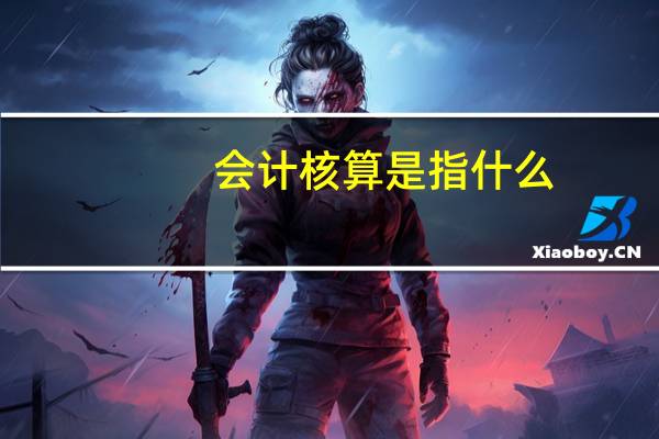 会计核算是指什么