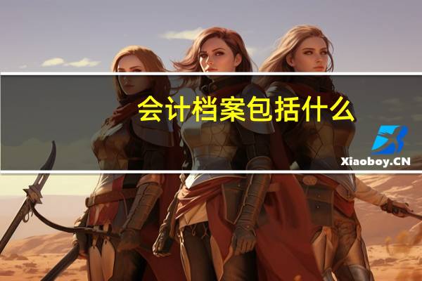 会计档案包括什么