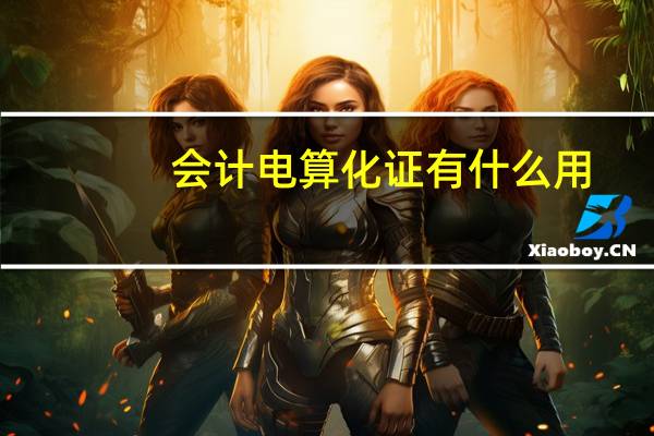 会计电算化证有什么用
