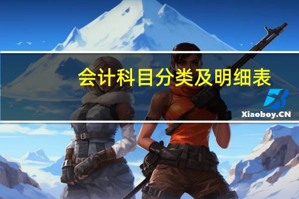 会计科目分类及明细表