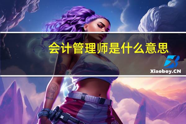 会计管理师是什么意思