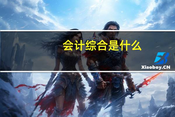 会计综合是什么
