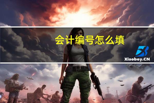 会计编号怎么填