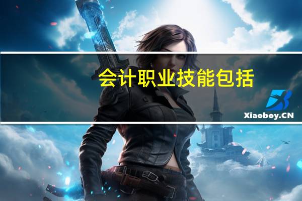 会计职业技能包括