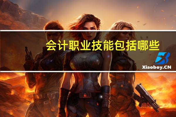 会计职业技能包括哪些