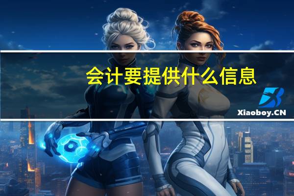 会计要提供什么信息