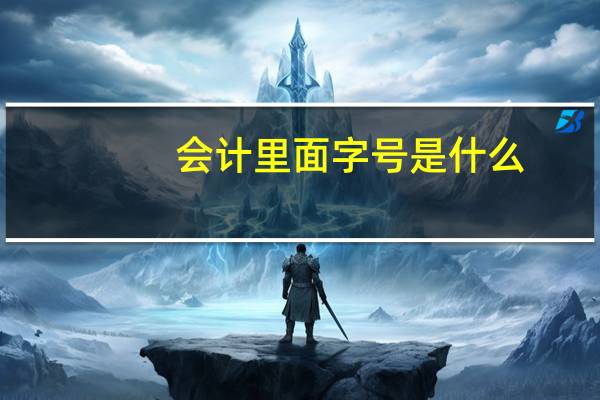 会计里面字号是什么