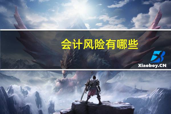 会计风险有哪些