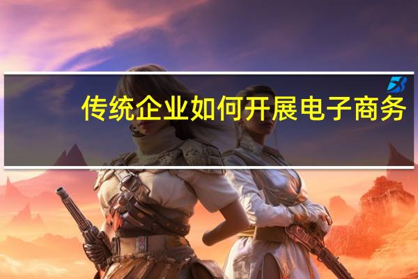 传统企业如何开展电子商务