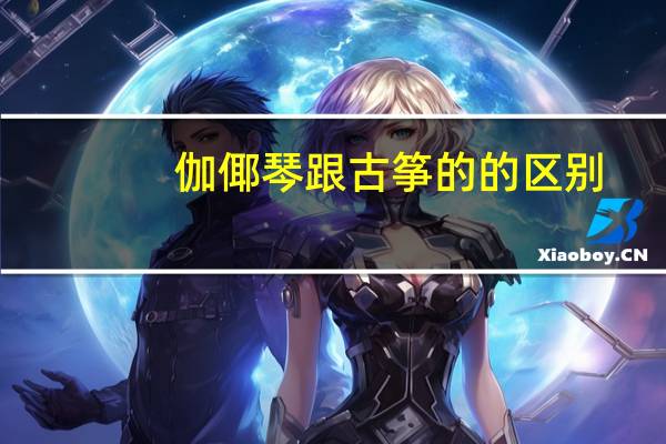 伽倻琴跟古筝的的区别