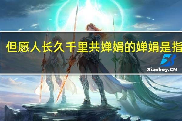 但愿人长久千里共婵娟的婵娟是指什么