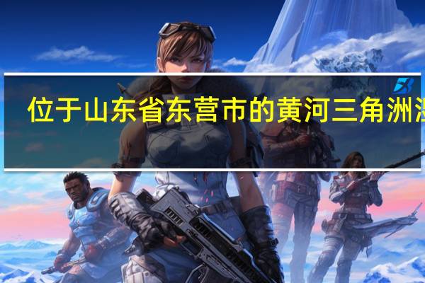位于山东省东营市的黄河三角洲湿地，是世界上暖温带保存最广阔、最完善、最年轻的湿地生态