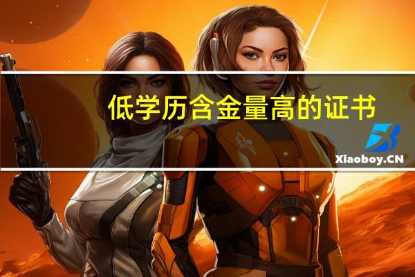 低学历含金量高的证书