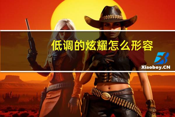 低调的炫耀怎么形容