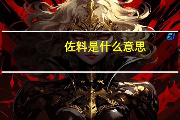 佐料是什么意思
