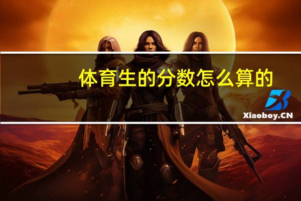 体育生的分数怎么算的