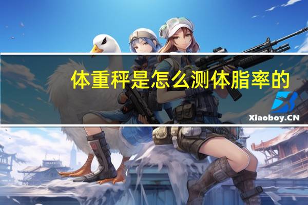 体重秤是怎么测体脂率的