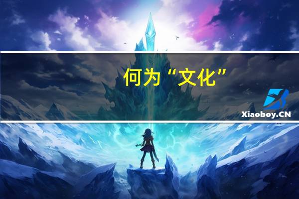 何为“文化”