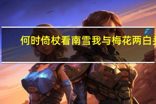 何时倚杖看南雪我与梅花两白头